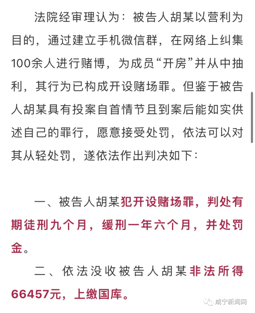 白小姐四肖四码精准,关于白小姐四肖四码精准，一个关于犯罪与法律的探讨