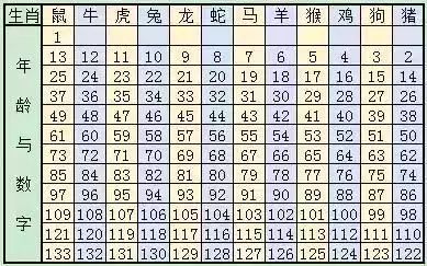 2024十二生肖49码表,揭秘2024十二生肖与数字49的奇妙联系，一份详尽的49码表解读