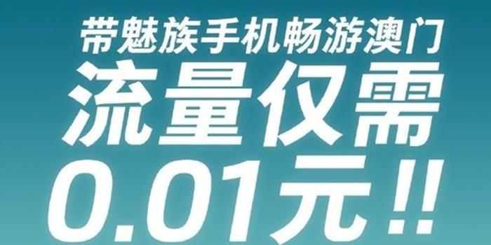 2004澳门天天开好彩大全,澳门天天开好彩，背后的真相与警示