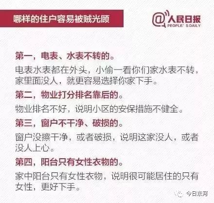 新奥门免费资料大全历史记录查询,新澳门免费资料大全历史记录查询，探索与揭秘