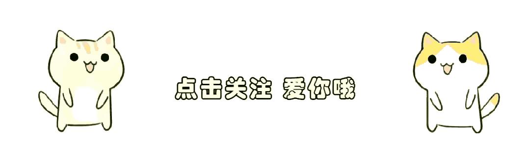 今晚9点30开什么生肖明 2024,今晚9点30开什么生肖明？揭秘生肖运势与未来展望——以2024年为背景