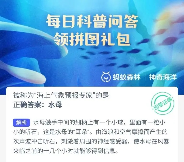 新澳精准资料免费大全,新澳精准资料免费大全——探索信息的海洋