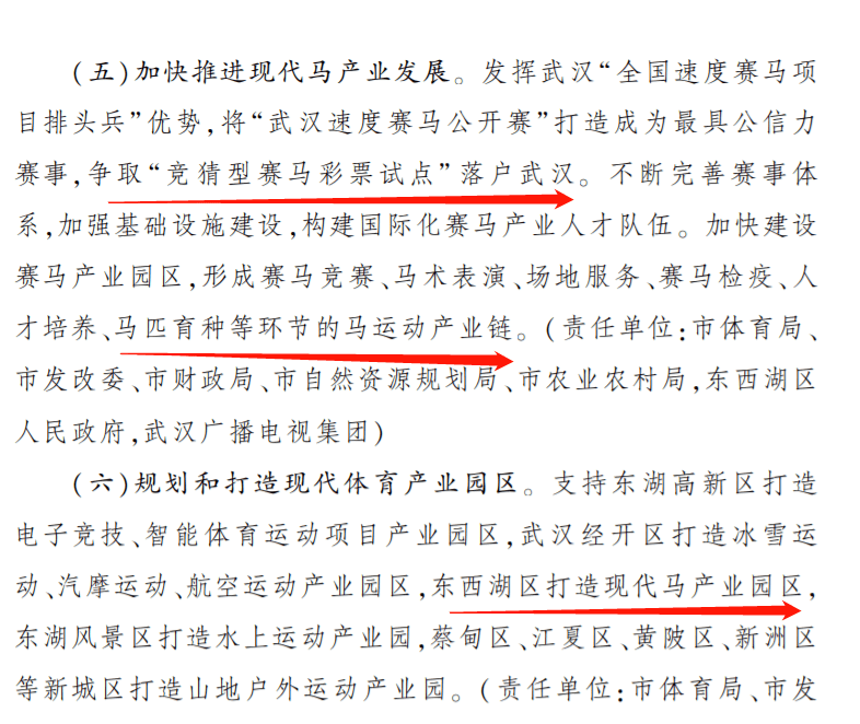 2025澳门特马今晚开奖亿彩网_最新正品动态解析,澳门特马彩票背后的真相，警惕非法赌博与虚假信息泛滥