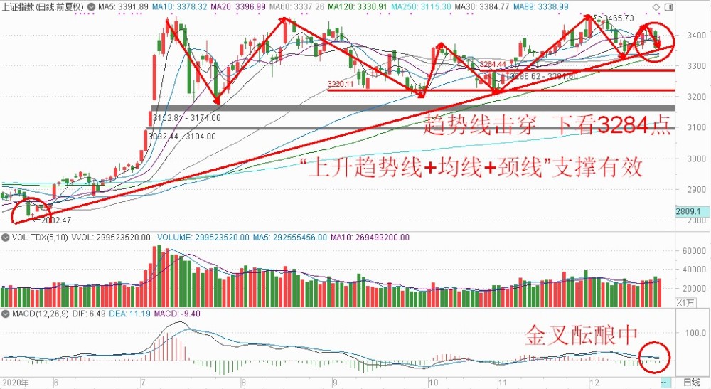 2025年新跑狗图最新版,探索新跑狗图最新版，预测未来的趋势与影响分析（2025年展望）